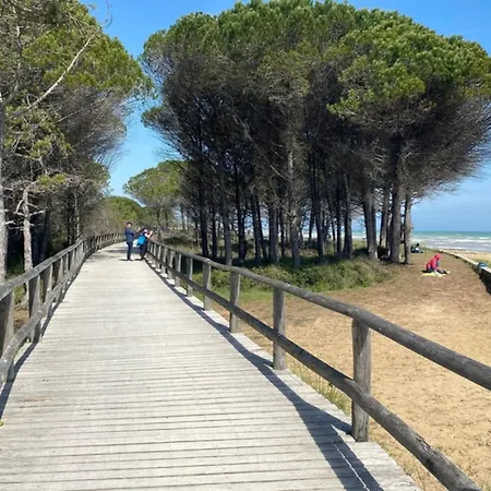 Flat Only 200mt From The Sea *